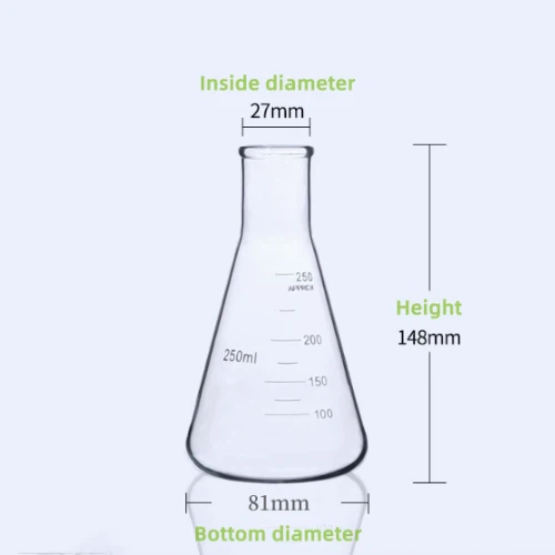 Conical Flask Erlenmeyer
